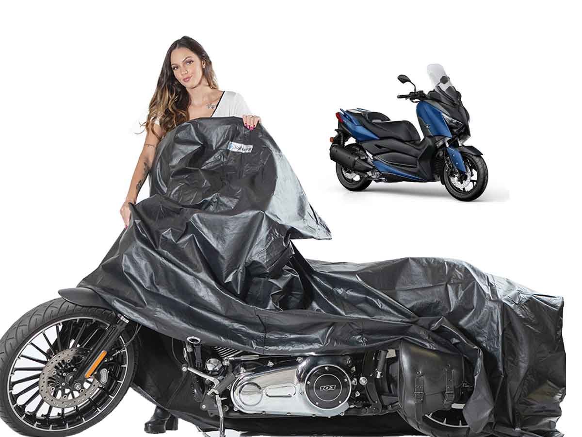 xmax-abs